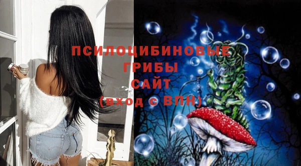 гидра Лиски