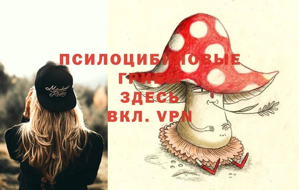 гидра Лиски
