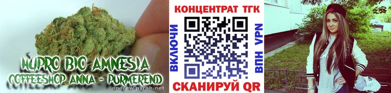 Купить закладки  Медвежьегорск  Дистиллят ТГК Wax 